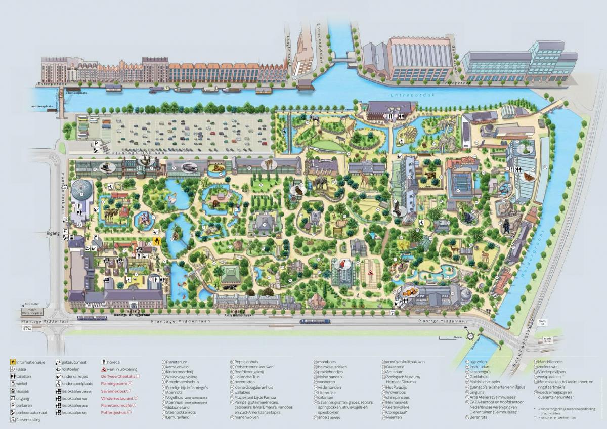 карта зоопарка Амстердама 